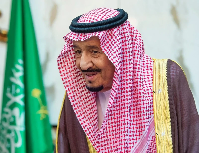 سيدي خادم الحرمين الشريفين يستقبل رئيس الاتحاد السويسري - Photo 22