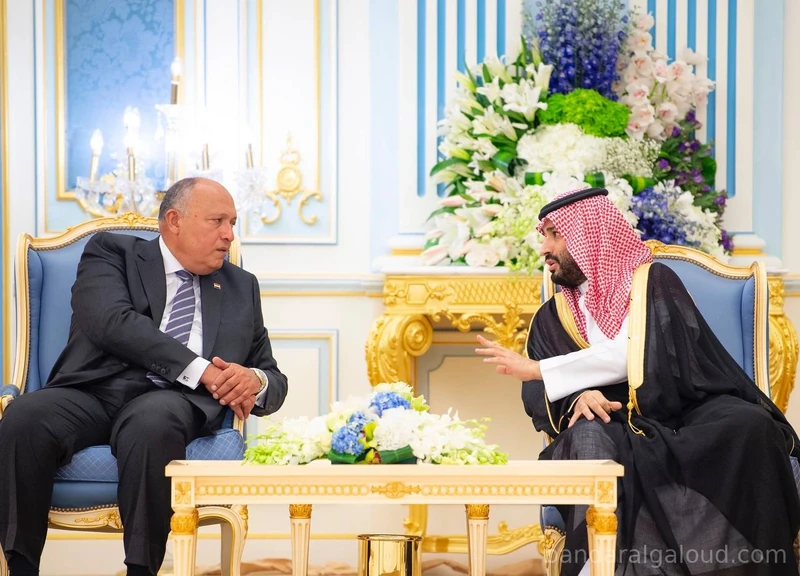سيدي خادم الحرمين الشريفين يستقبل رئيس جمهورية مصر العربية ويقيم مأدبة غداء تكريماً لفخامته - Photo 9