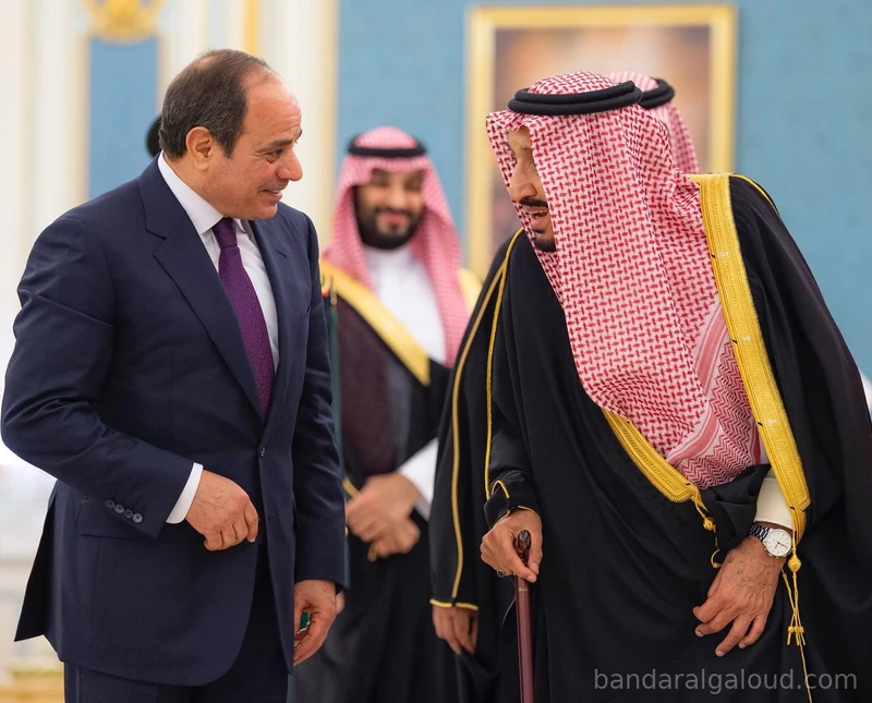 سيدي خادم الحرمين الشريفين يستقبل رئيس جمهورية مصر العربية ويقيم مأدبة غداء تكريماً لفخامته - Photo 13