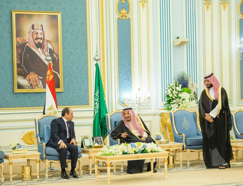 سيدي خادم الحرمين الشريفين يستقبل رئيس جمهورية مصر العربية ويقيم مأدبة غداء تكريماً لفخامته - Photo 16