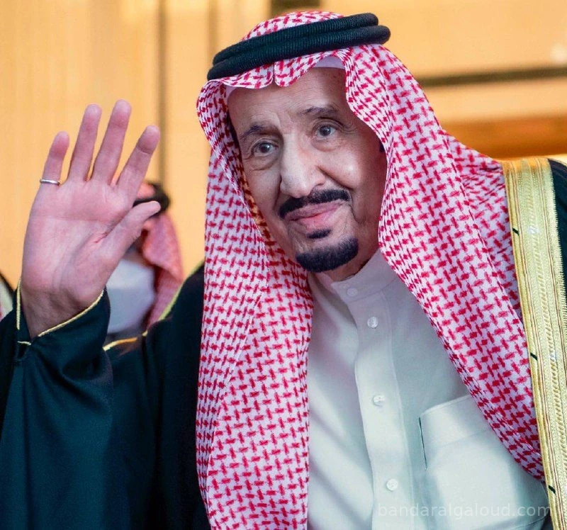 سيدي خادم الحرمين الشريفين يستقبل رئيس جمهورية مصر العربية ويقيم مأدبة غداء تكريماً لفخامته - Photo 25