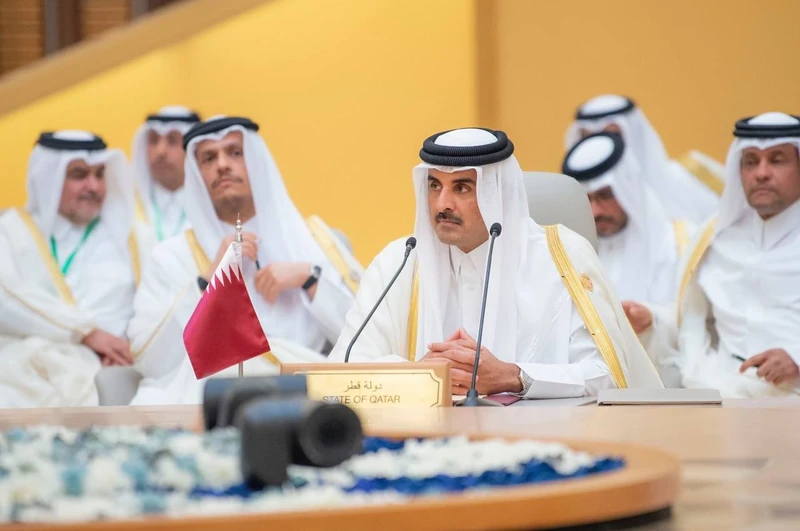 سمو سيدي ولي العهد يرأس قمة جدة للأمن والتنمية نيابةً عن خادم الحرمين الشريفين - صورة 11
