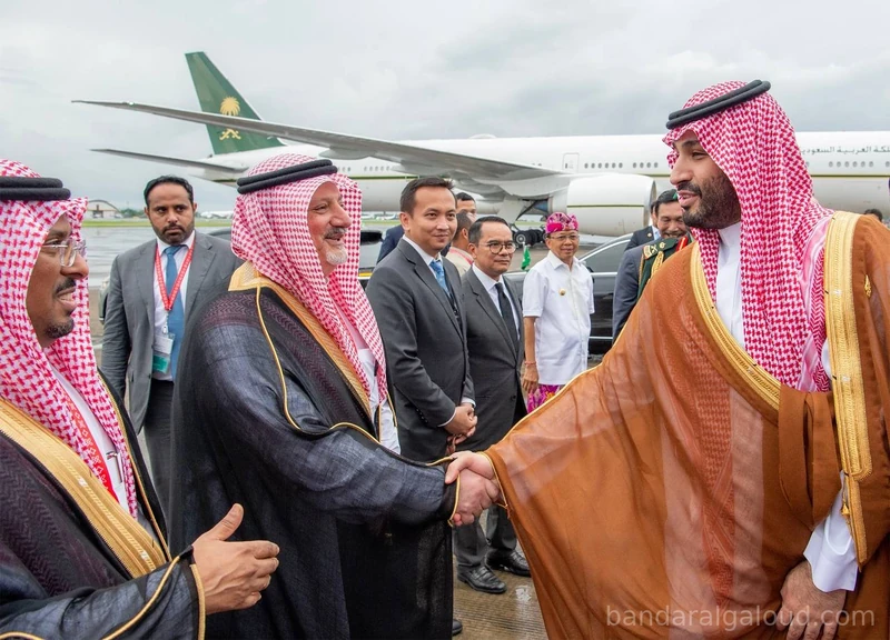 سمو سيدي ولي العهد يغادر إندونيسيا بعد رئاسة وفد المملكة في قمة العشرين - Photo 4