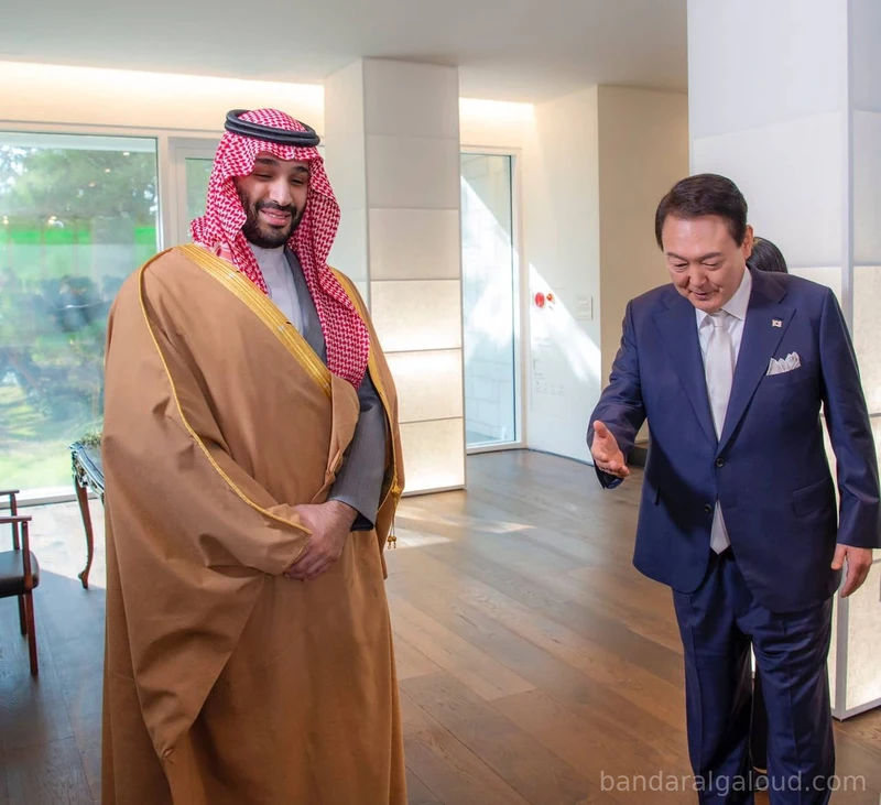 سمو سيدي ولي العهد يلتقي فخامة رئيس جمهورية كوريا في سيئول - Photo 4