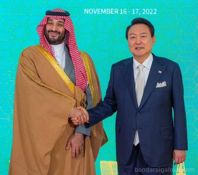 سمو سيدي ولي العهد يلتقي فخامة رئيس جمهورية كوريا في سيئول - Photo 5
