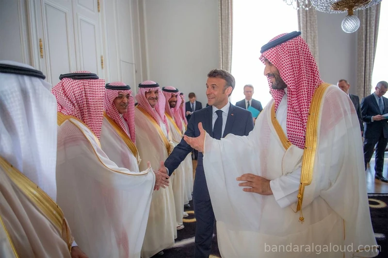 سيدي ولي العهد يلتقي فخامة رئيس الجمهورية الفرنسية في قصر الإليزيه بباريس - Photo 4