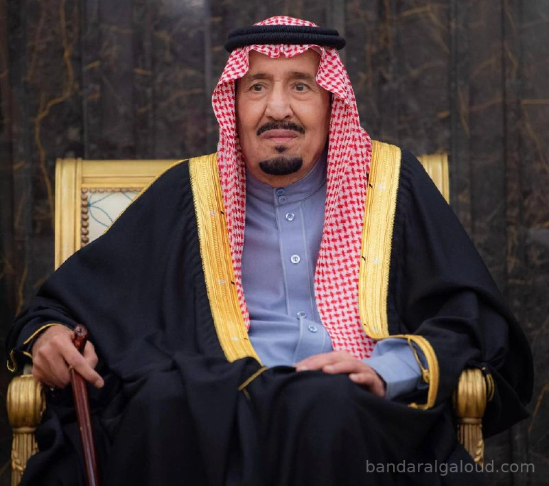 السفراء المعينون يؤدون القسم أمام سيدي خادم الحرمين الشريفين - Photo 1