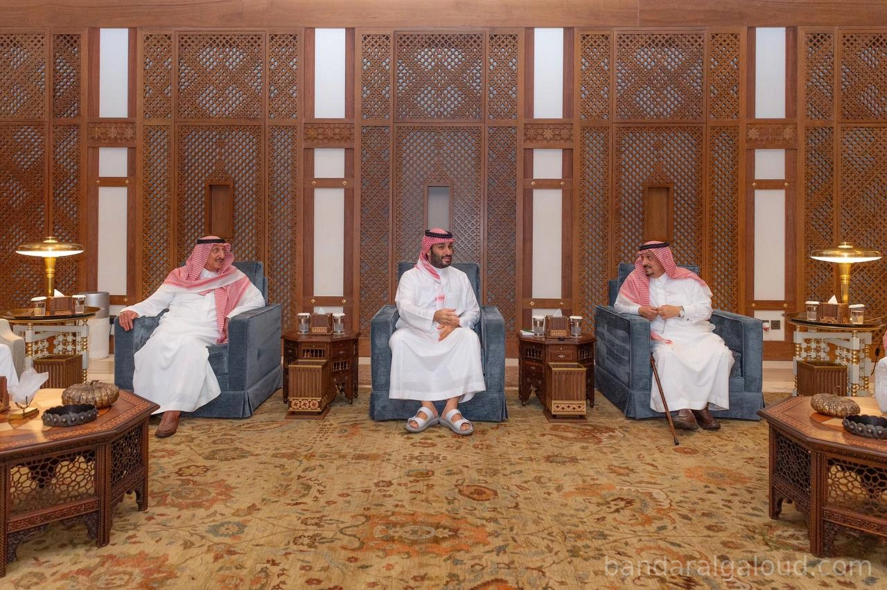 سمو سيدي ولي العهد يستقبل أصحاب السمو أمراء المناطق - صورة 1