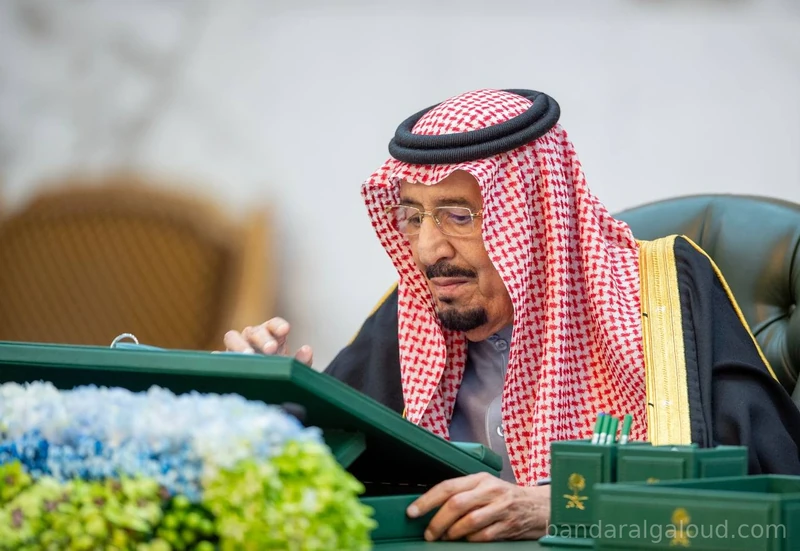 سيدي خادم الحرمين الشريفين يرأس جلسة مجلس الوزراء - صورة 3
