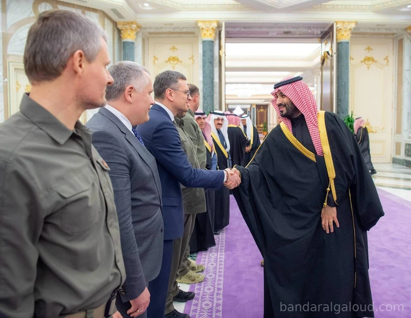 سمو سيدي ولي العهد يستقبل فخامة رئيس جمهورية أوكرانيا - صورة 11