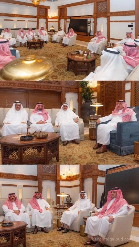 سمو سيدي ولي العهد يستقبل أصحاب السمو أمراء المناطق - صورة 7