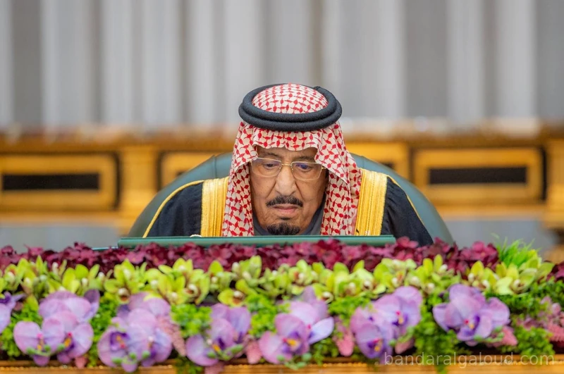 سيدي خادم الحرمين الشريفين يرأس جلسة مجلس الوزراء - صورة 2