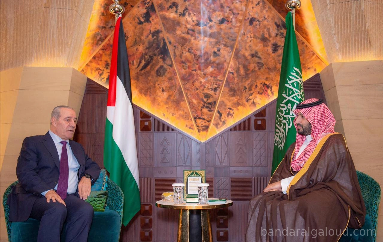 سمو سيدي ولي العهد يستقبل نائب رئيس دولة فلسطين - Photo 1