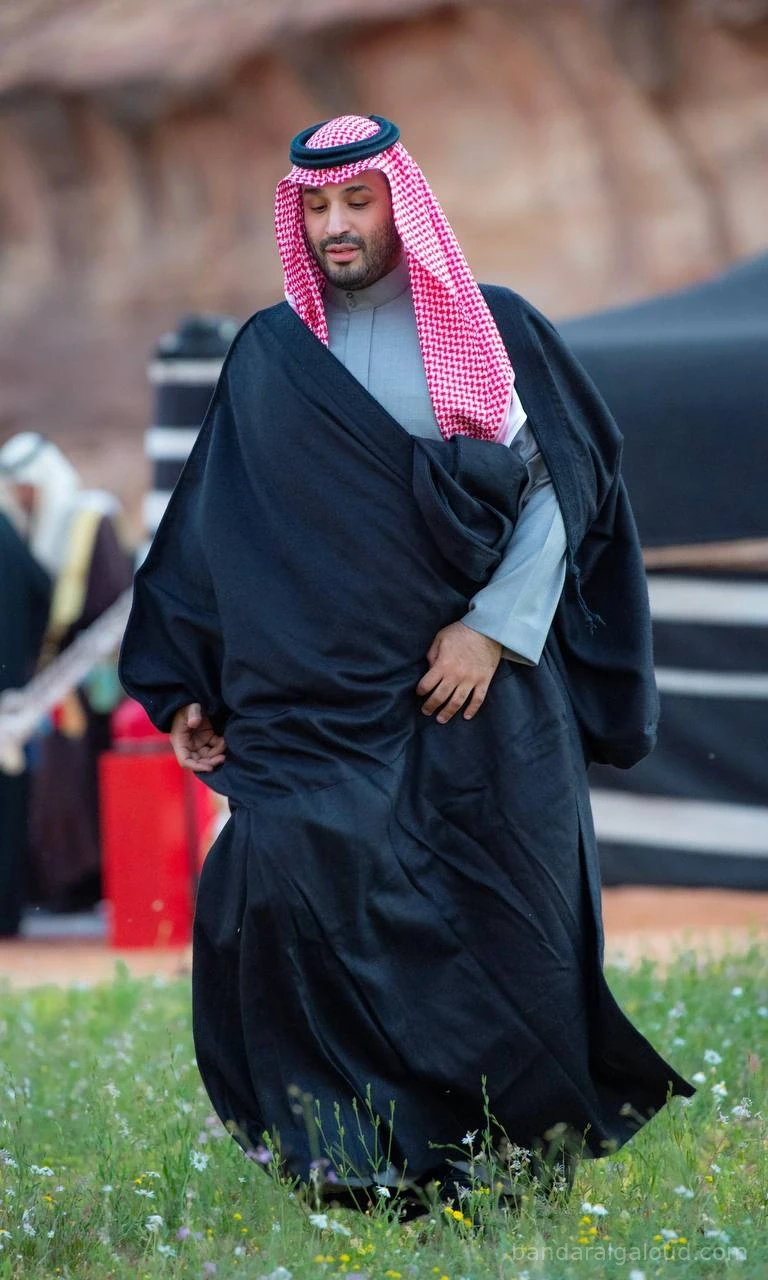 سمو سيدي ولي العهد يستقبل رئيس وزراء اليونان في العلا - Photo 6
