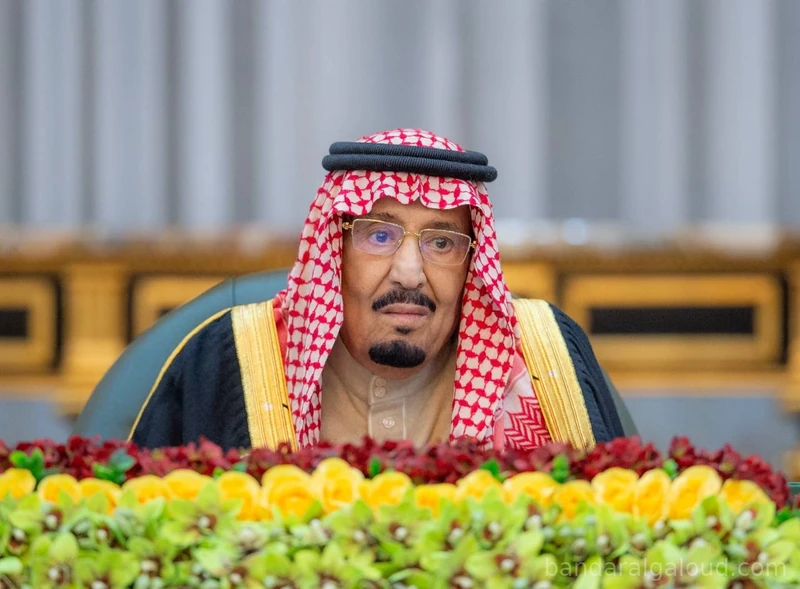 سيدي خادم الحرمين الشريفين يرأس جلسة مجلس الوزراء - صورة 3