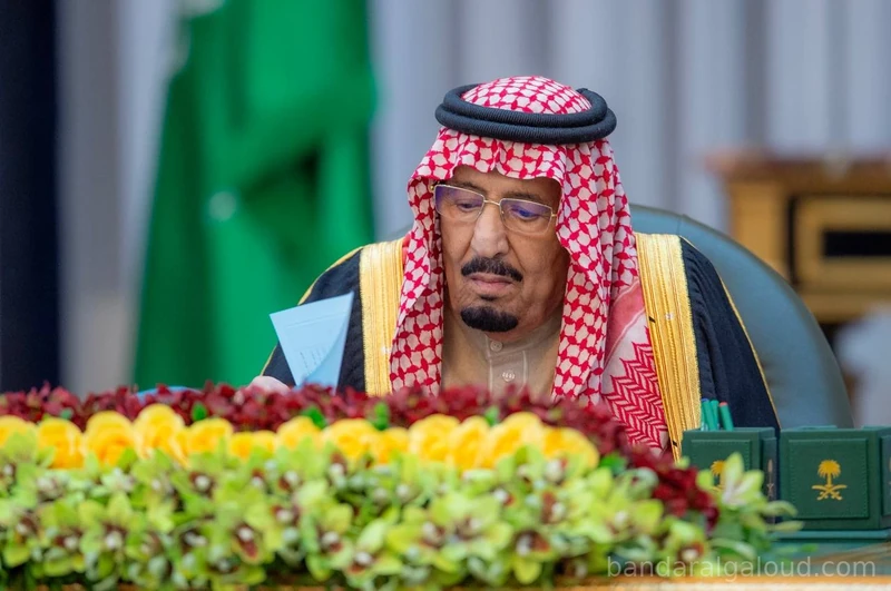 سيدي خادم الحرمين الشريفين يرأس جلسة مجلس الوزراء - صورة 4