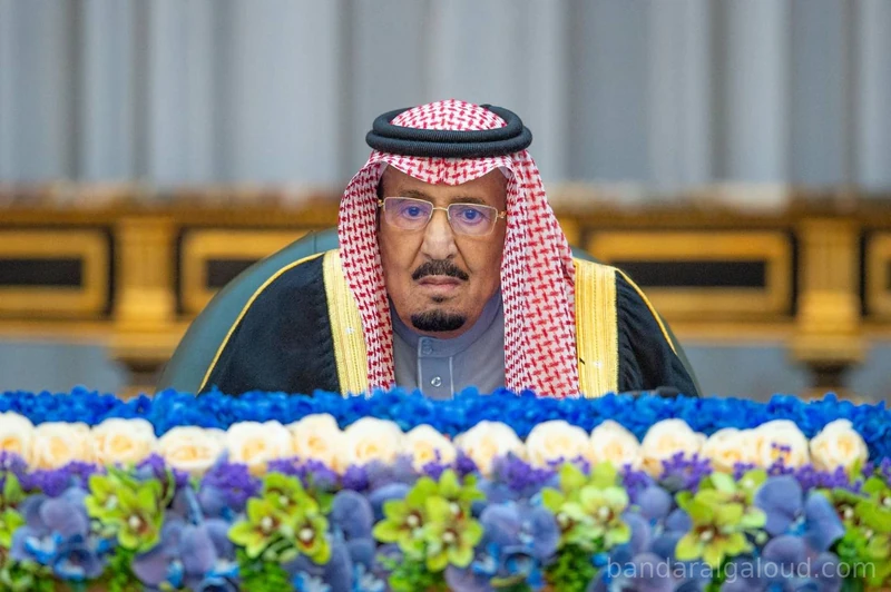 سيدي خادم الحرمين الشريفين يرأس جلسة مجلس الوزراء - صورة 3