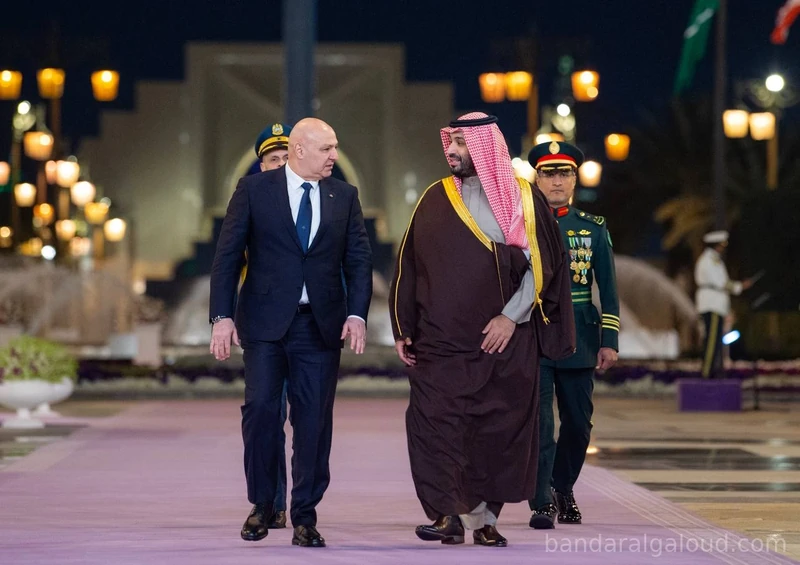 سمو سيدي ولي العهد يستقبل فخامة رئيس الجمهورية اللبنانية في الديوان الملكي. - صورة 4