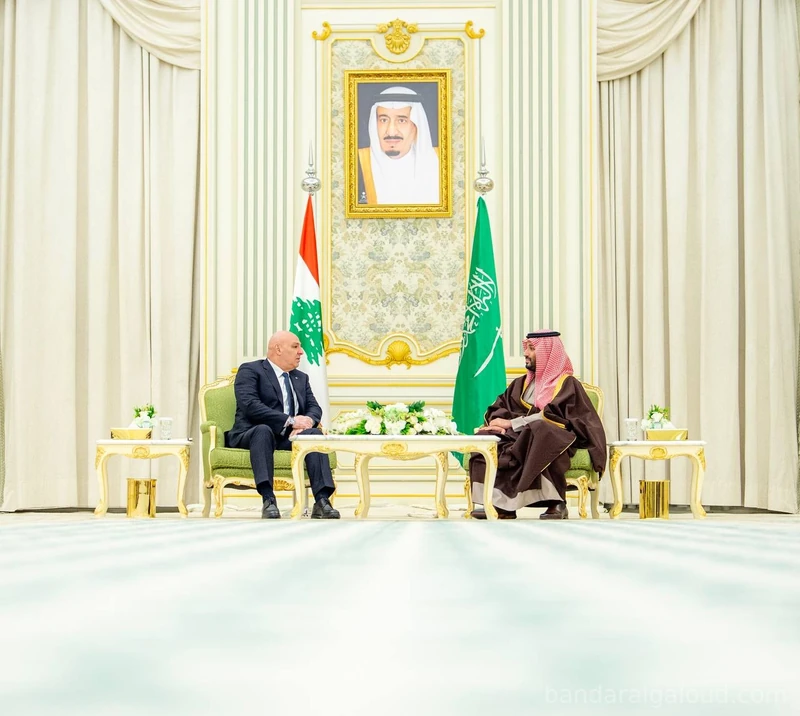 سمو سيدي ولي العهد يستقبل فخامة رئيس الجمهورية اللبنانية في الديوان الملكي. - صورة 9