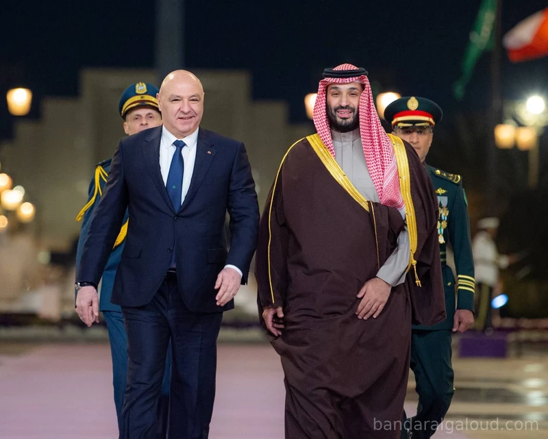 سمو سيدي ولي العهد يستقبل فخامة رئيس الجمهورية اللبنانية في الديوان الملكي. - صورة 15