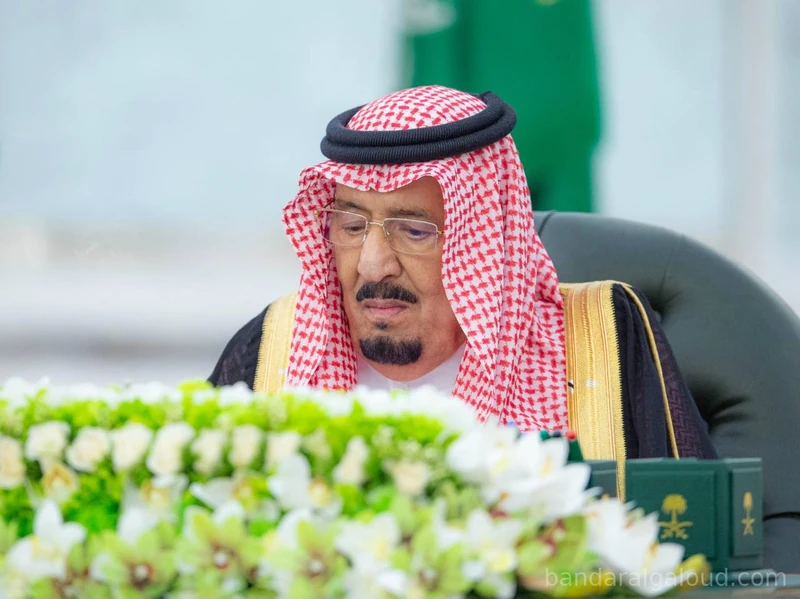 سيدي خادم الحرمين الشريفين يرأس جلسة مجلس الوزراء بجدة - صورة 4