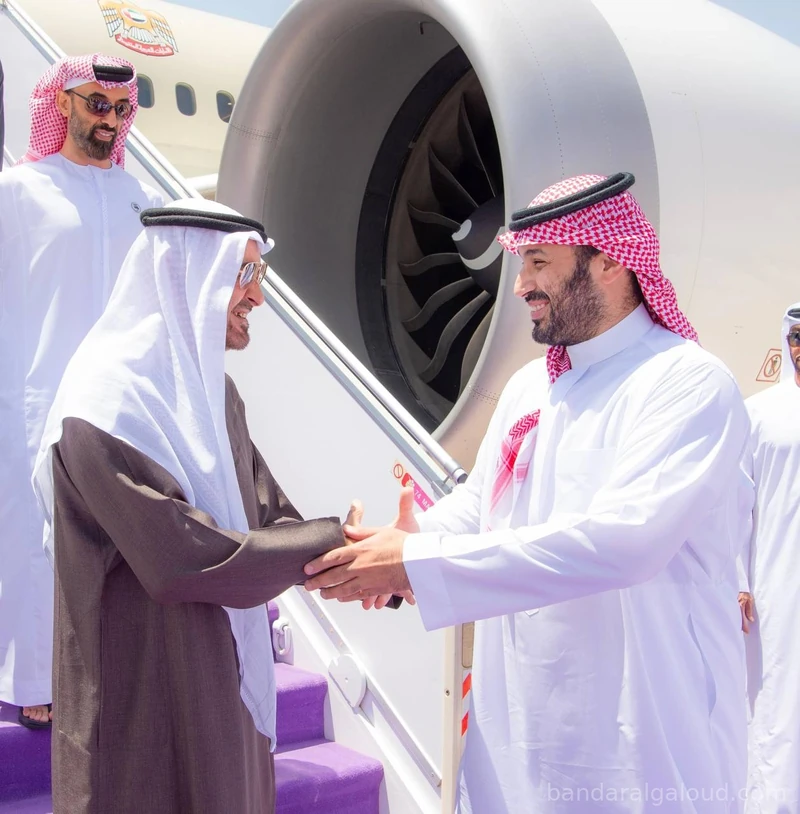سمو رئيس دولة الإمارات العربية المتحدة، يصل إلى الرياض وسمو سيدي ولي العهد في مقدمة مستقبليه - صورة 2