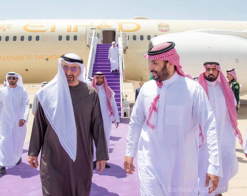 سمو رئيس دولة الإمارات العربية المتحدة، يصل إلى الرياض وسمو سيدي ولي العهد في مقدمة مستقبليه - صورة 6
