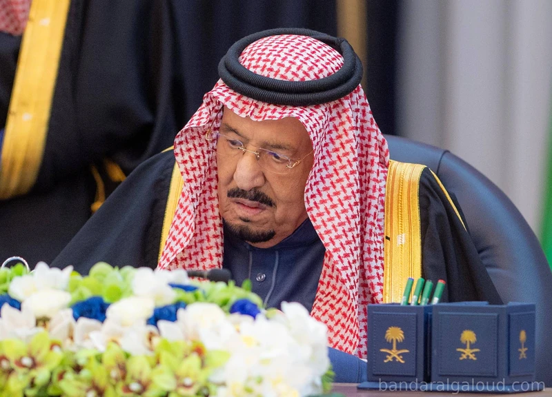 سيدي خادم الحرمين الشريفين يرأس جلسة مجلس الوزراء في الرياض - صورة 7