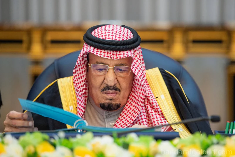 سيدي خادم الحرمين الشريفين يرأس جلسة مجلس الوزراء في الرياض - صورة 6